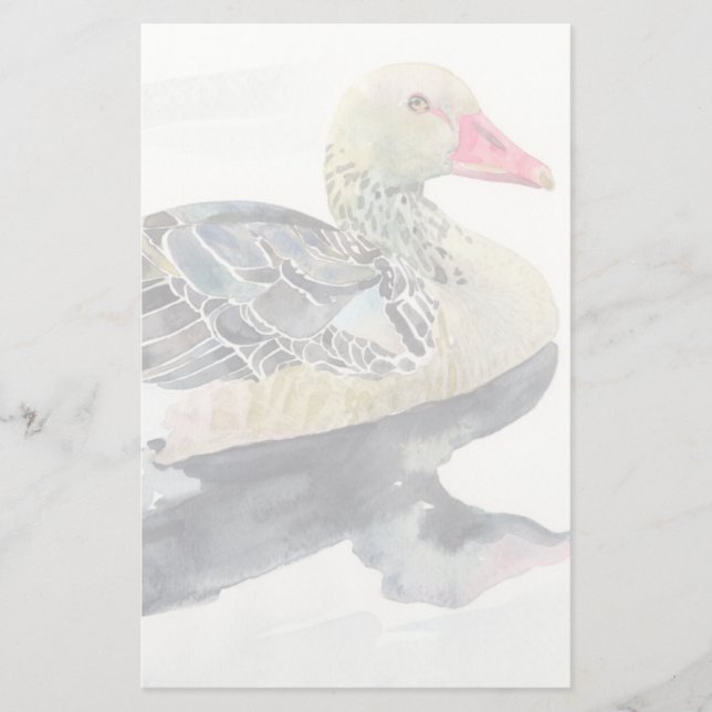 Papelaria Pássaro da aguarela do desenhar da mão, pato (Frente)