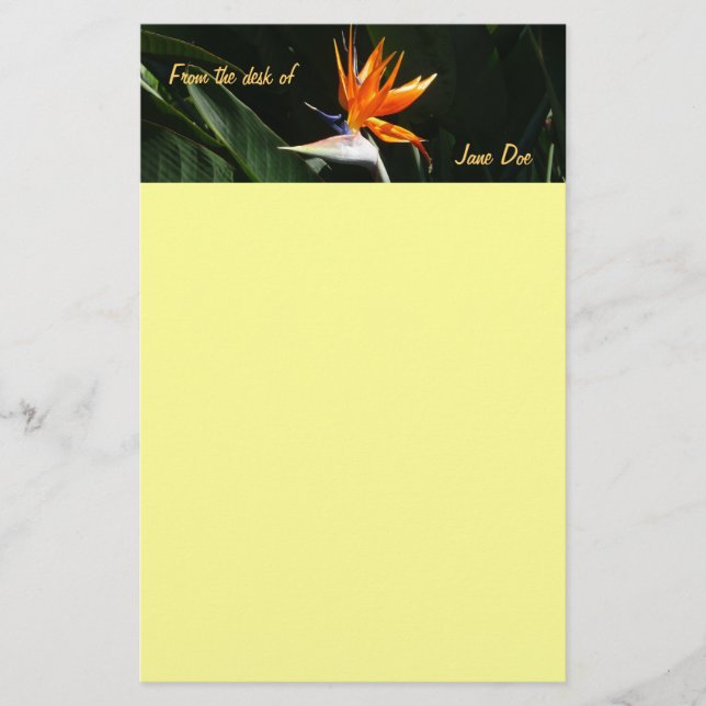 Papelaria Pássaro da Flor Tropical Laranja do Paraíso (Frente)