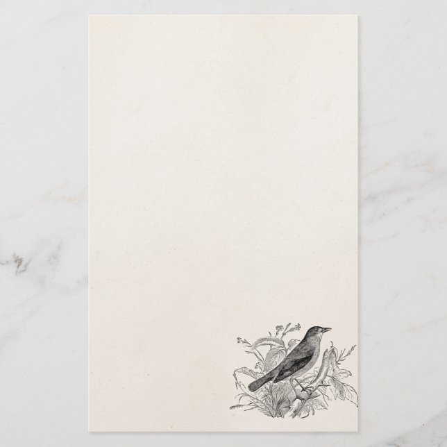 Papelaria Pássaros retros personalizados pássaro do rouxinol (Frente)