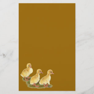 Papelaria Patos Amarelos