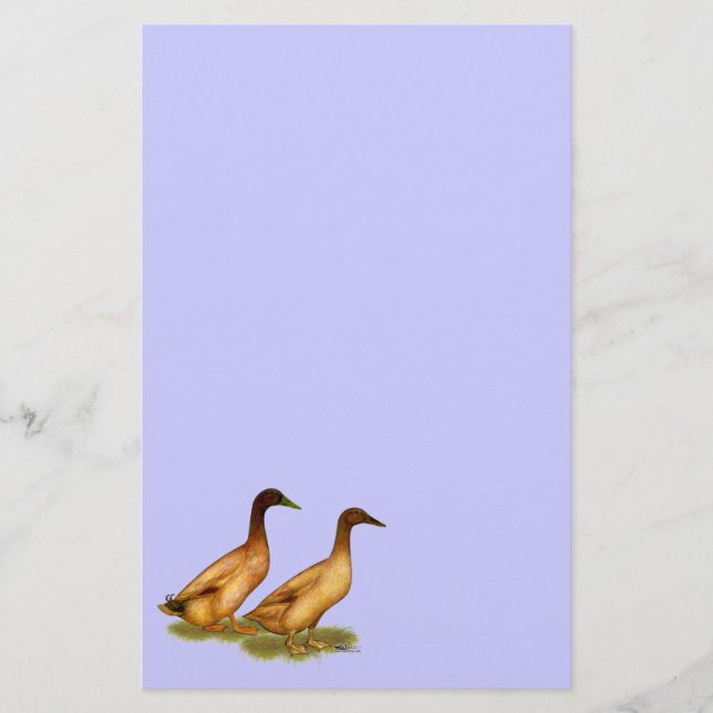 Papelaria Patos: Khaki Campbell (Frente)