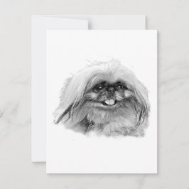 Papelaria Pekingesa - Cartão de vazio "JenaSota"