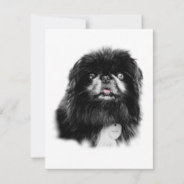 Papelaria Pekingese - Cartão de vazio "Mork"