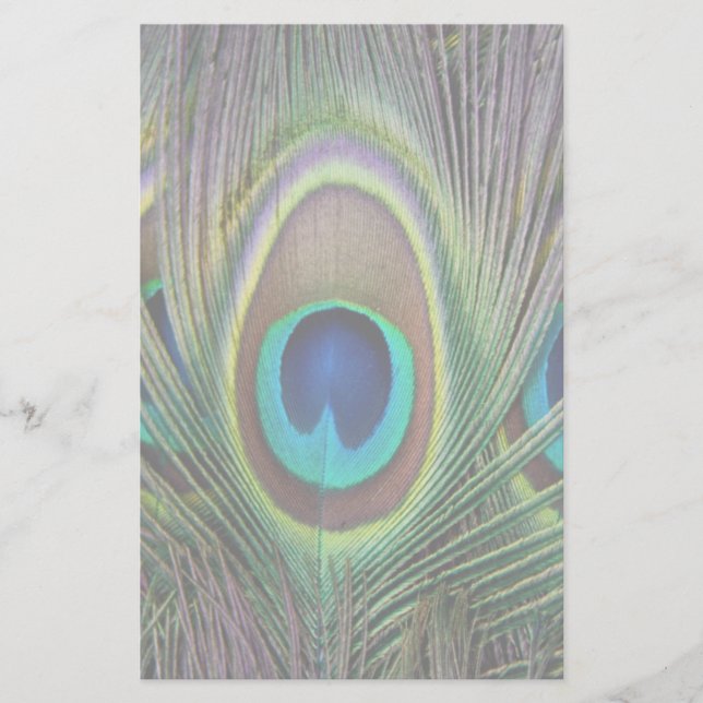 Papelaria Pena de Peacock (Frente)