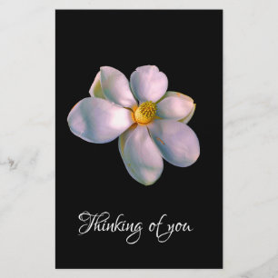 Papelaria Pensando em você