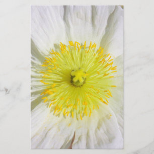 Papelaria Perfeitamente Poppy