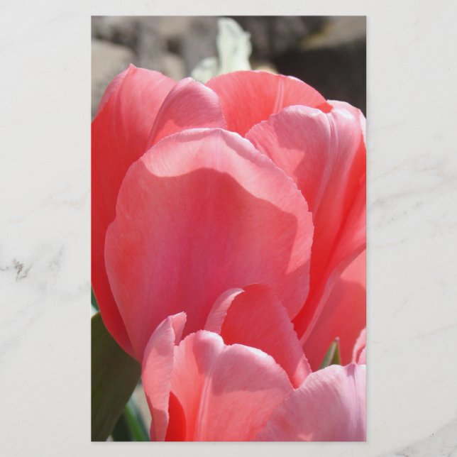 Papelaria Personalizada de Primavera Flores de Tul (Frente)