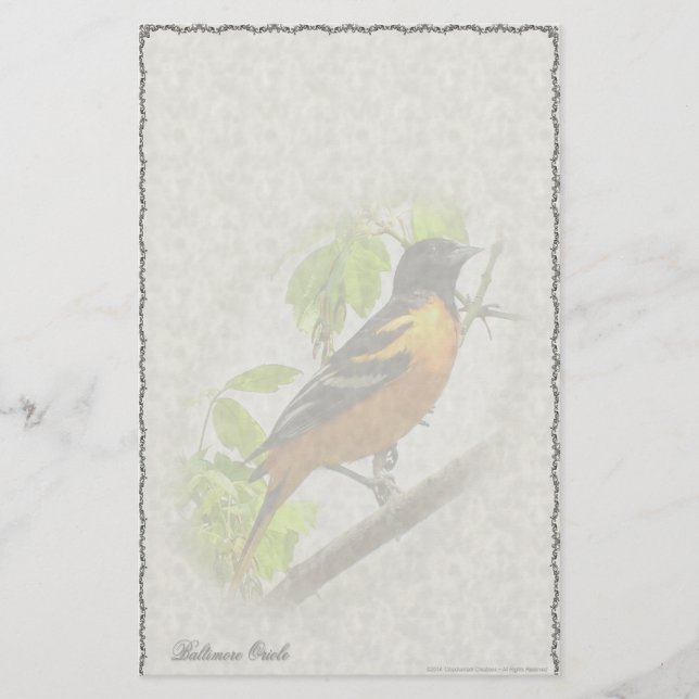 Papelaria Personalizada do Baltimore Oriole (Frente)