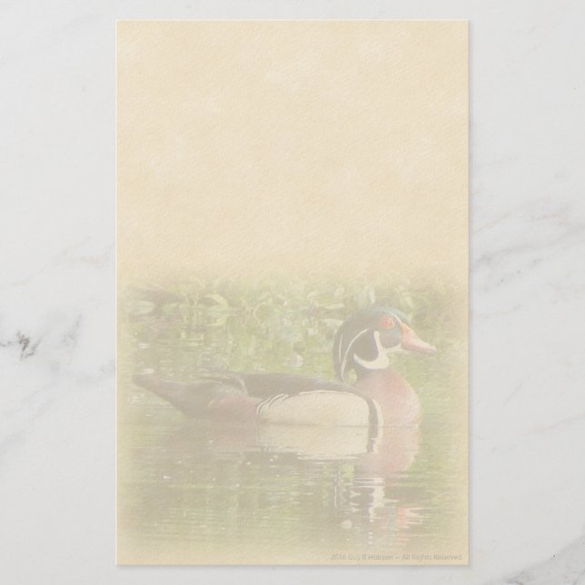 Papelaria Pessoal Pato Silvestre (Frente)