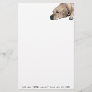 Papelaria Pet Ridgeback Dog Picture
