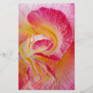 Papelaria pétalas cor-de-rosa amarelas