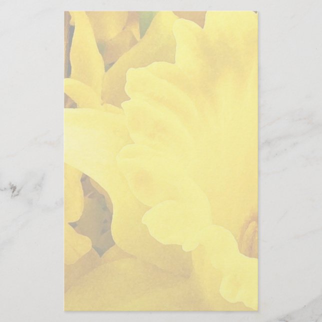 Papelaria Pétalas Daffodil (Frente)