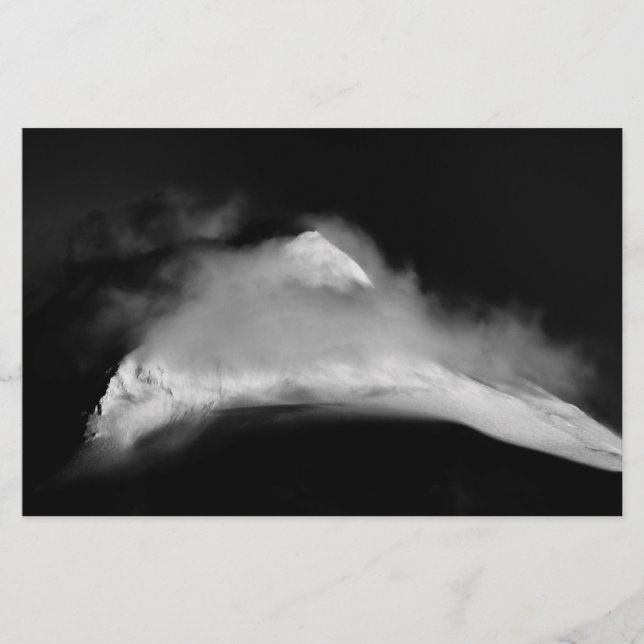 Papelaria Pico de aves cobertas (Frente)