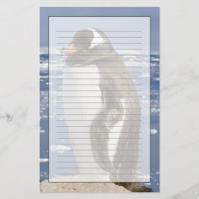 Papelaria Pinguim-gentoo (Frente)