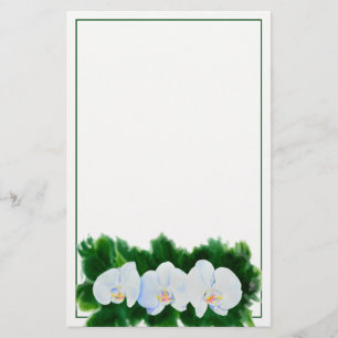 Papelaria Pintura de orquídea branca Elegante tropical