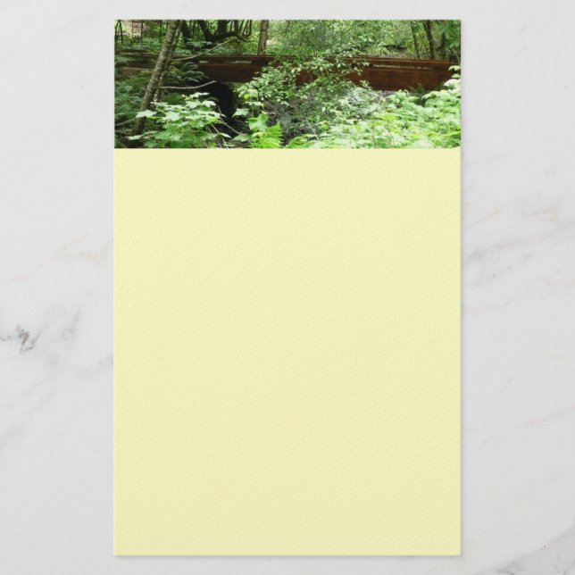 Papelaria Ponte Muir Woods I (Frente)