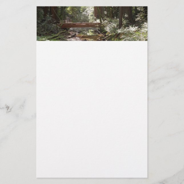 Papelaria Ponte Muir Woods II (Frente)