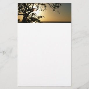 Papelaria Por do sol com a fotografia tropical das árvores