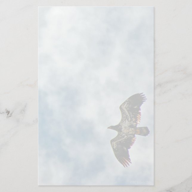 Papelaria Possibilidades futuras (Frente)