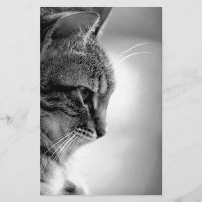 Papelaria Preto e Branco Meditantes de Gatos (Frente)