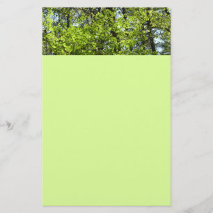 Papelaria Primavera Maple Deixa a natureza