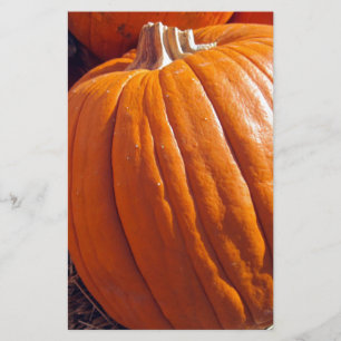 Papelaria Pumpkin Laranja