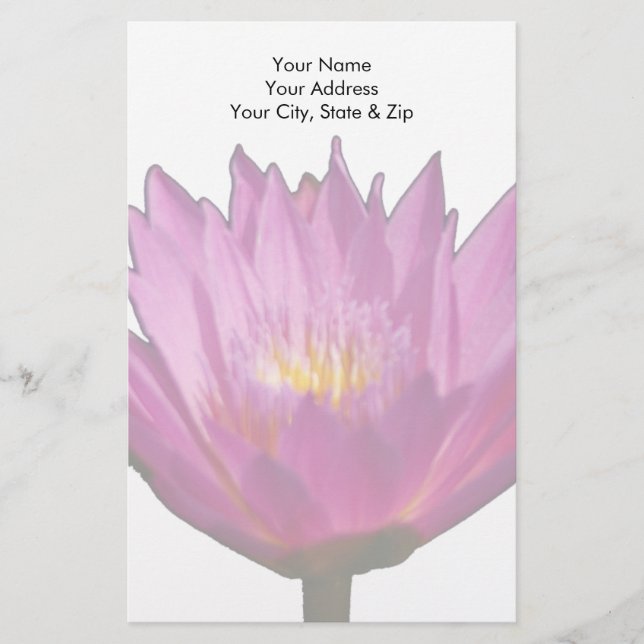 Papelaria Purple Waterlily Lotus (Frente)
