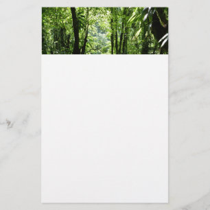 Papelaria Rain Forest II Tropical Verde