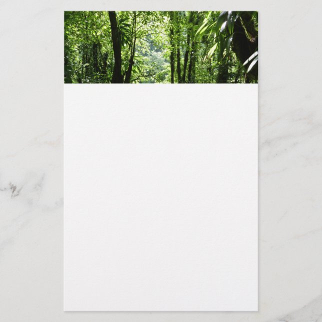 Papelaria Rain Forest II Tropical Verde (Frente)