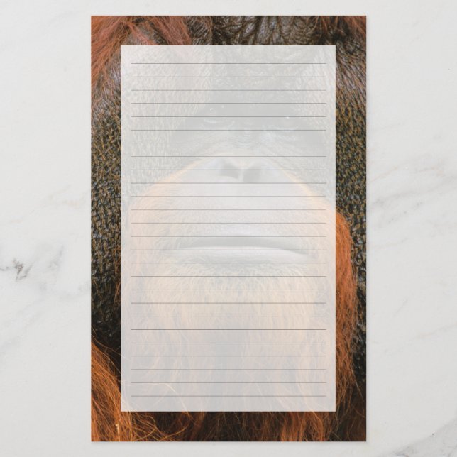 Papelaria Retrato de Orang-utango Macho, Geórgia, EUA (Frente)