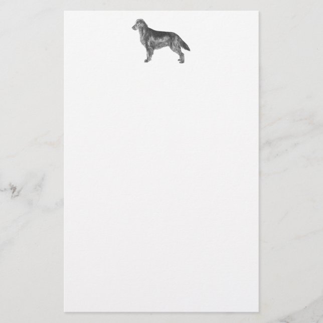 Papelaria Retriever revestido plano (Frente)