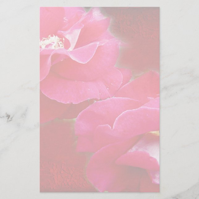 Papelaria Romance e Rosas vermelhas (Frente)