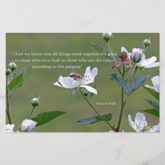 Papelaria Romanos 8:28 (Frente)