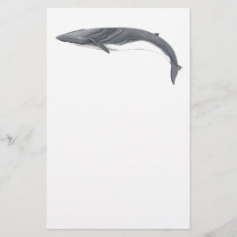 Papelaria Rorcual comun