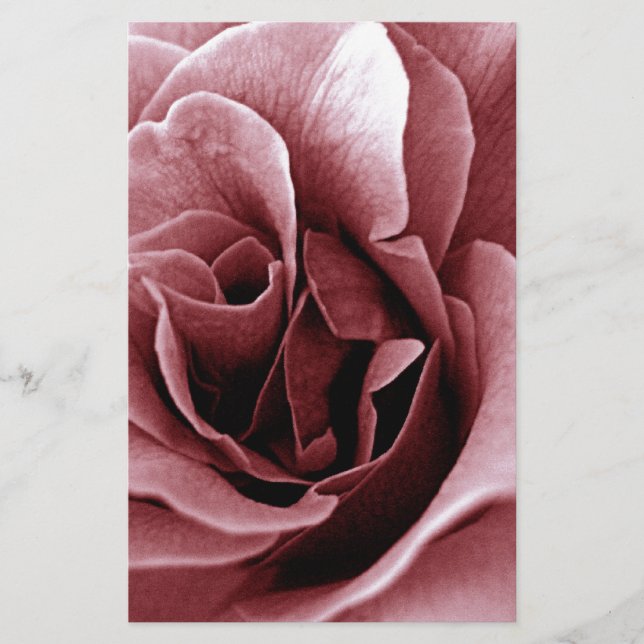 Papelaria Rosa (Frente)