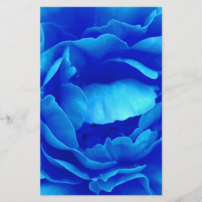 Papelaria Rosa azul (Frente)