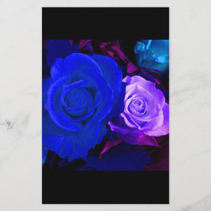 Papelaria Rosa azul roxo