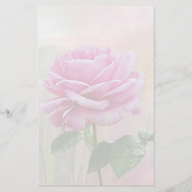 Papelaria Rosa Cor-de-Rosa (Frente)