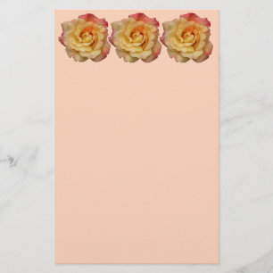 Papelaria Rosa de Paz Belo Rosa e Amarelo Floral