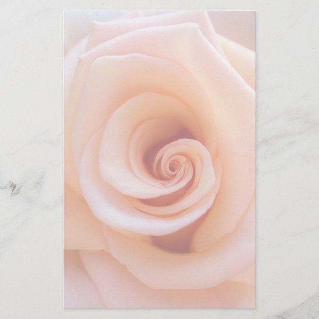 Papelaria Rosa de Pêssego (Frente)