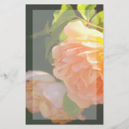 Papelaria Rosa de pêssego clássico Elegante floral