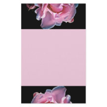 Rosa lindo do rosa no preto