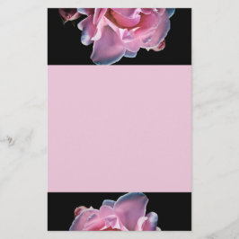 Papelaria Rosa lindo do rosa no preto