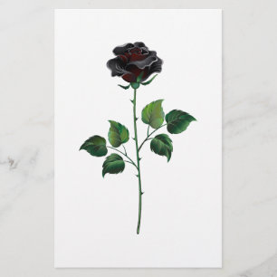 Papelaria Rosa preto