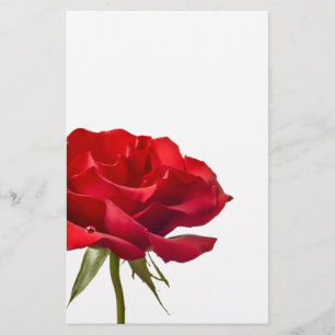 Papelaria Rosa vermelha - os rosas personalizaram o modelo