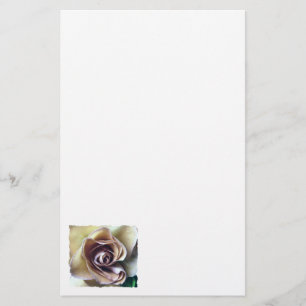 PAPELARIA ROSAS