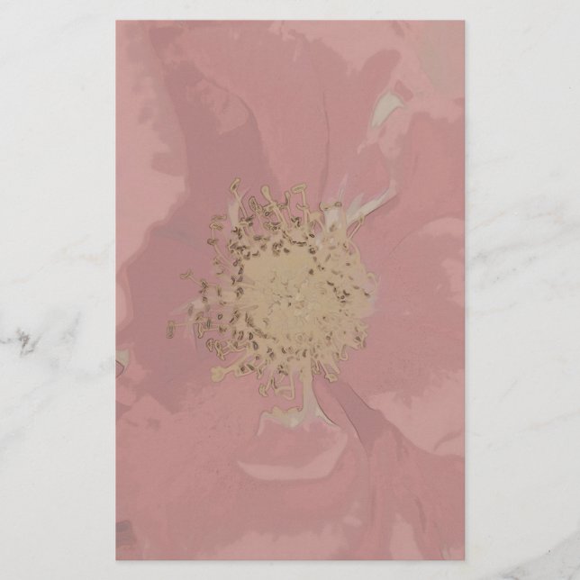 Papelaria Rosas Bush DullPastel (Frente)
