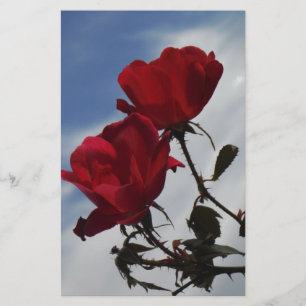 Papelaria Rosas vermelhas contra o céu azul brilhante
