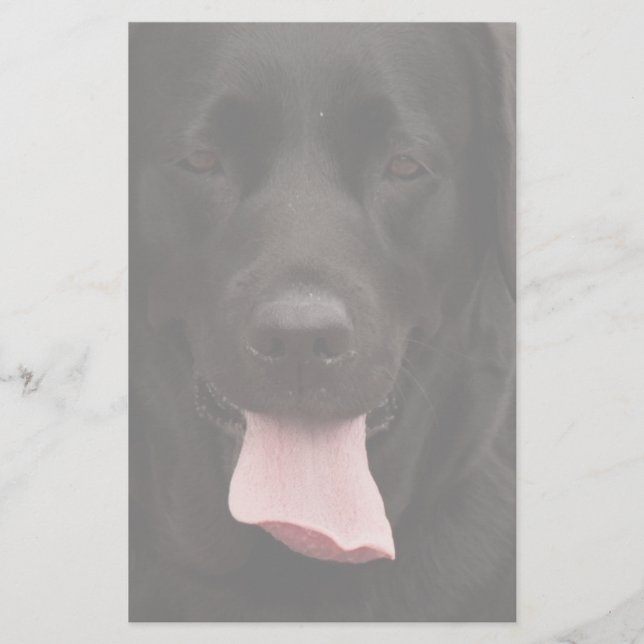 Papelaria Rosto de cachorro preto (Frente)