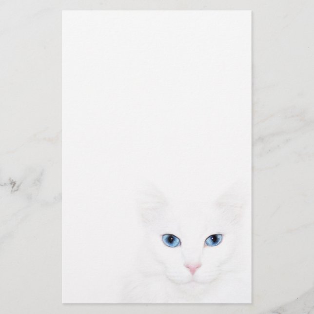Papelaria Rosto de gato branco (Frente)